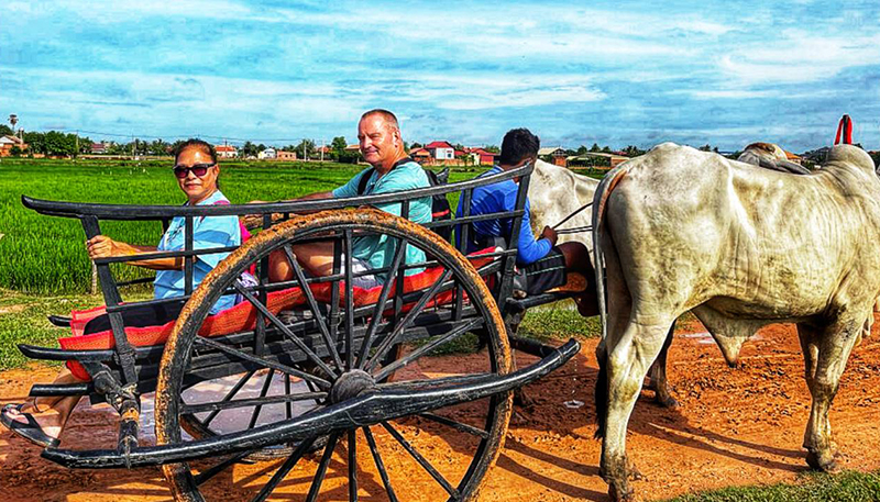 Ox Cart Adventure Tours
