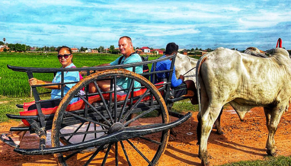 Ox Cart Adventure Tours